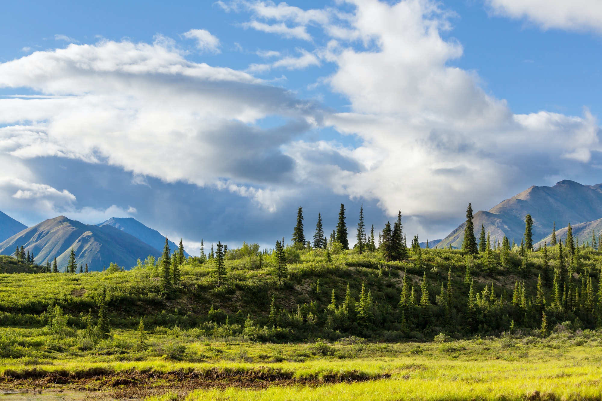 Read more about the article The Best Hunting Destinations for Your Next Vacation